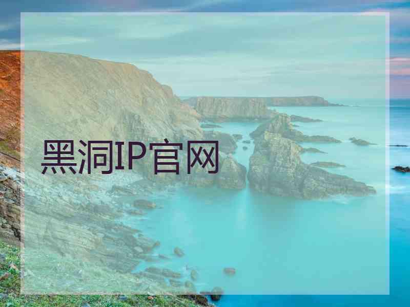 黑洞IP官网