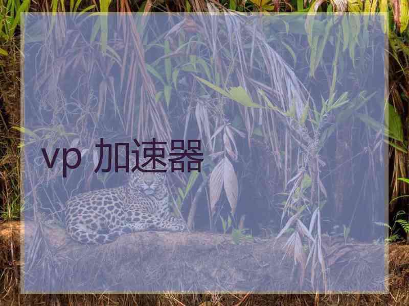 vp 加速器