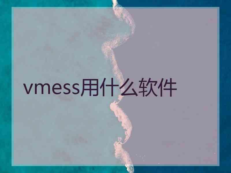 vmess用什么软件