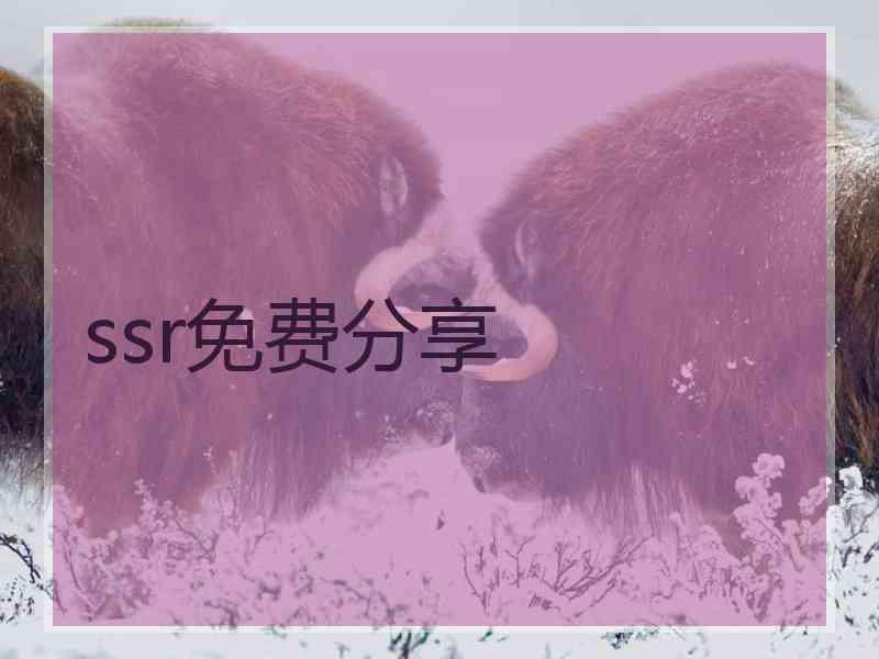 ssr免费分享