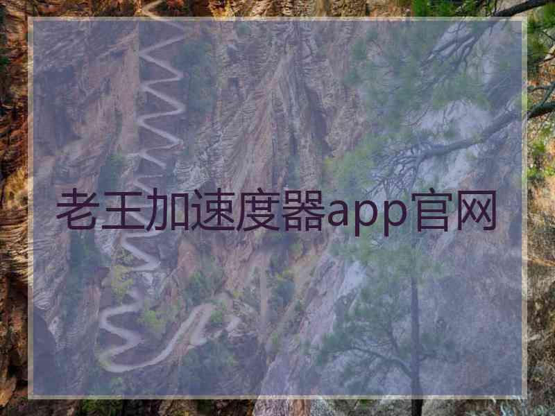 老王加速度器app官网