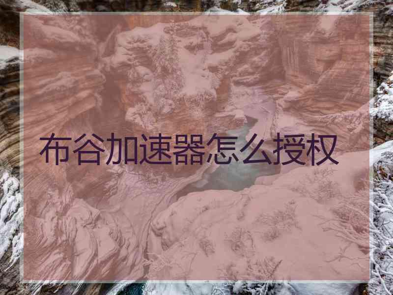 布谷加速器怎么授权
