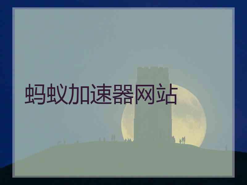 蚂蚁加速器网站