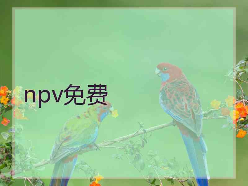 npv免费