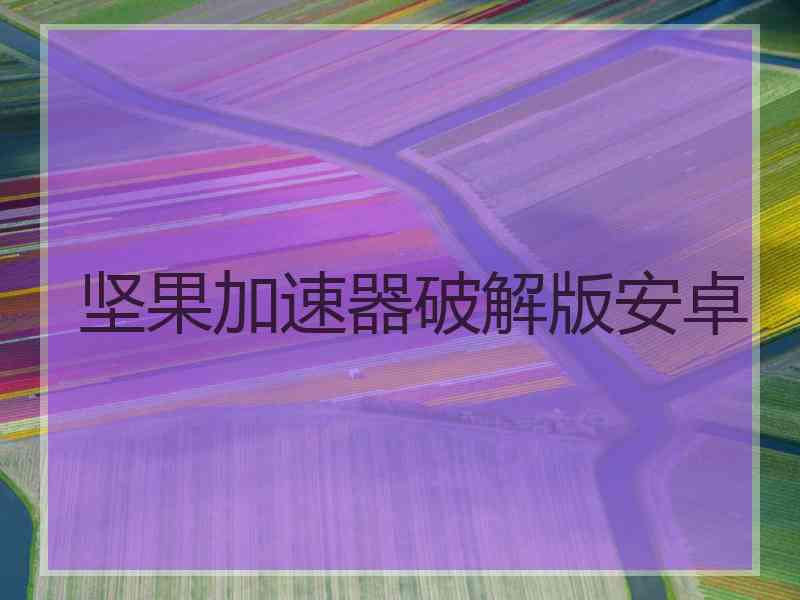 坚果加速器破解版安卓
