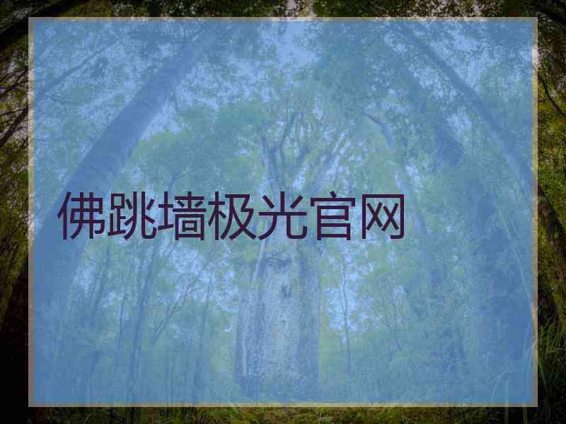 佛跳墙极光官网