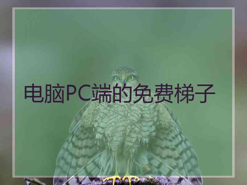 电脑PC端的免费梯子