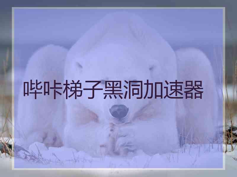 哔咔梯子黑洞加速器