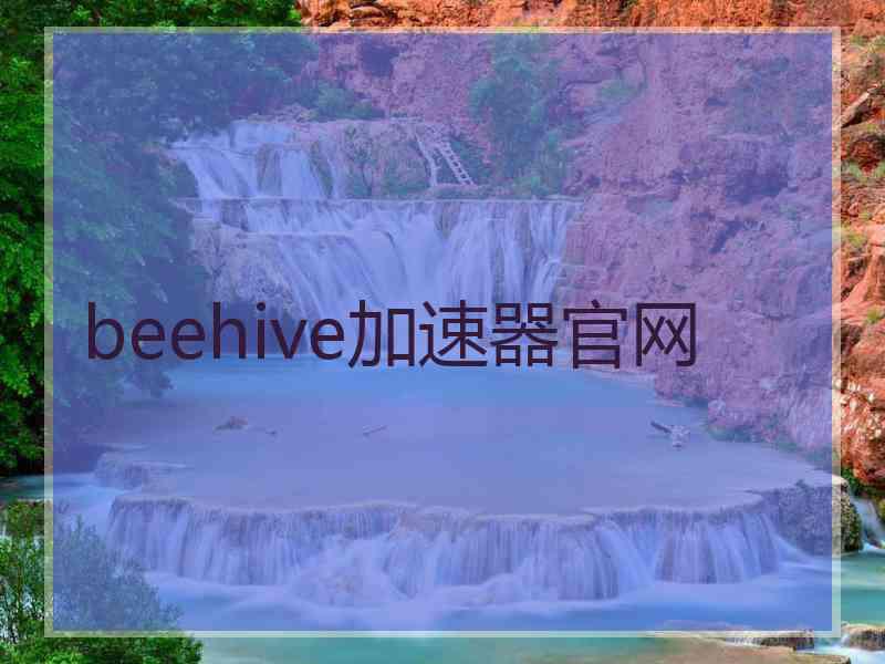 beehive加速器官网
