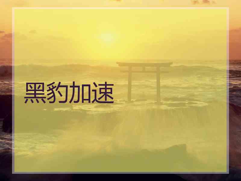 黑豹加速