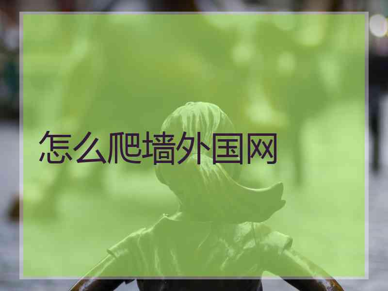 怎么爬墙外国网