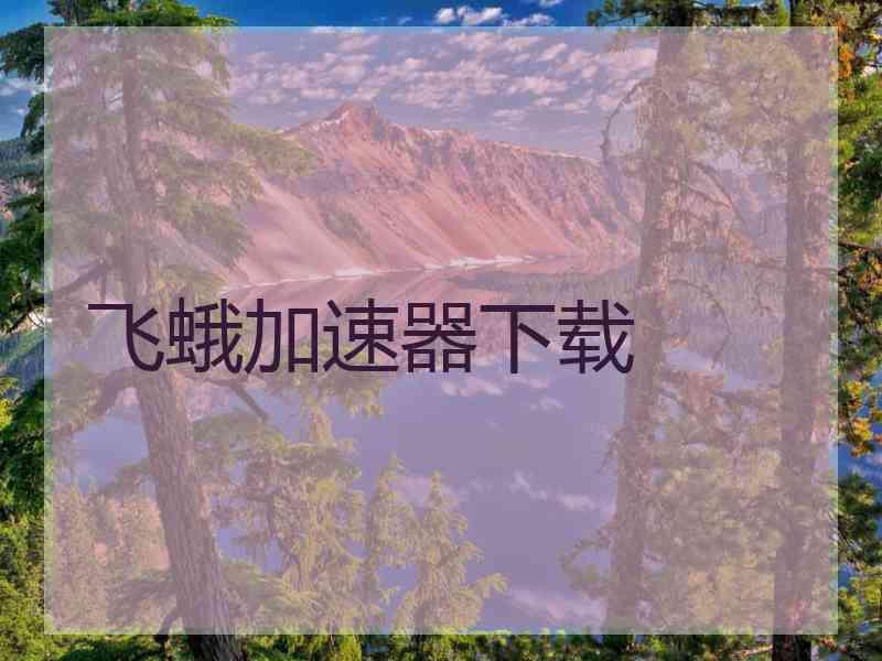 飞蛾加速器下载