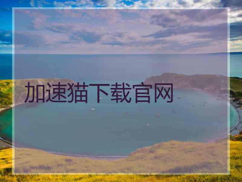 加速猫下载官网