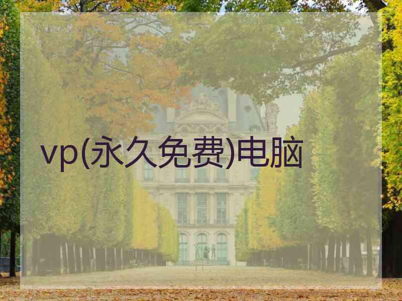 vp(永久免费)电脑