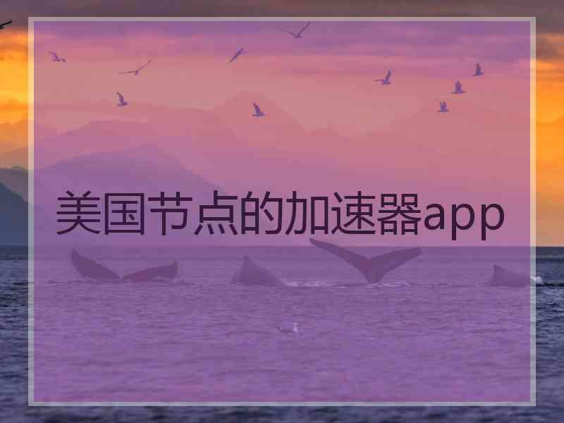 美国节点的加速器app