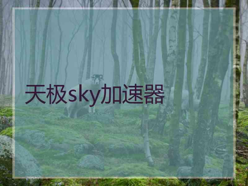 天极sky加速器