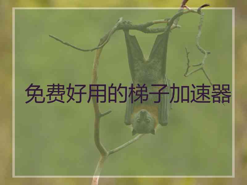 免费好用的梯子加速器