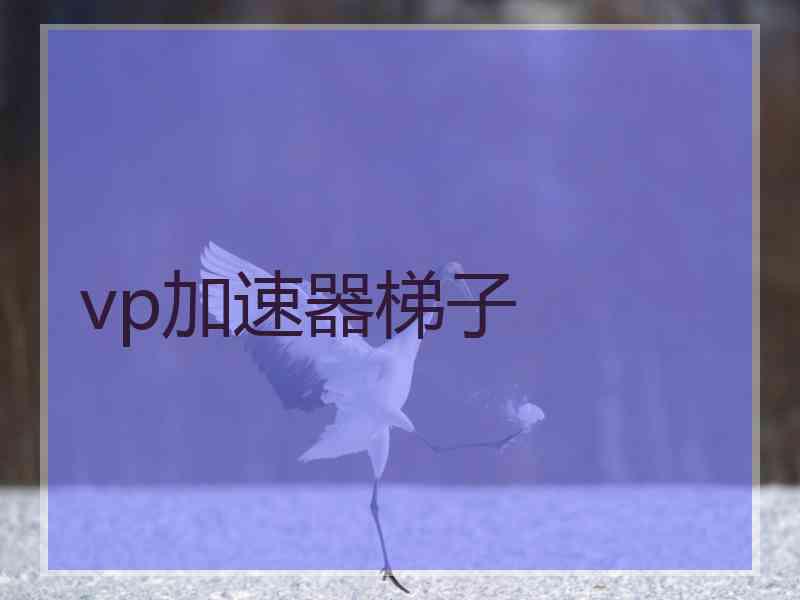 vp加速器梯子