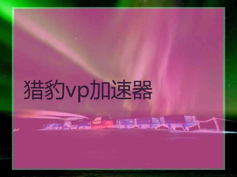 猎豹vp加速器