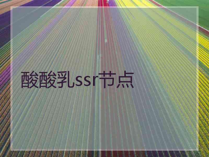 酸酸乳ssr节点