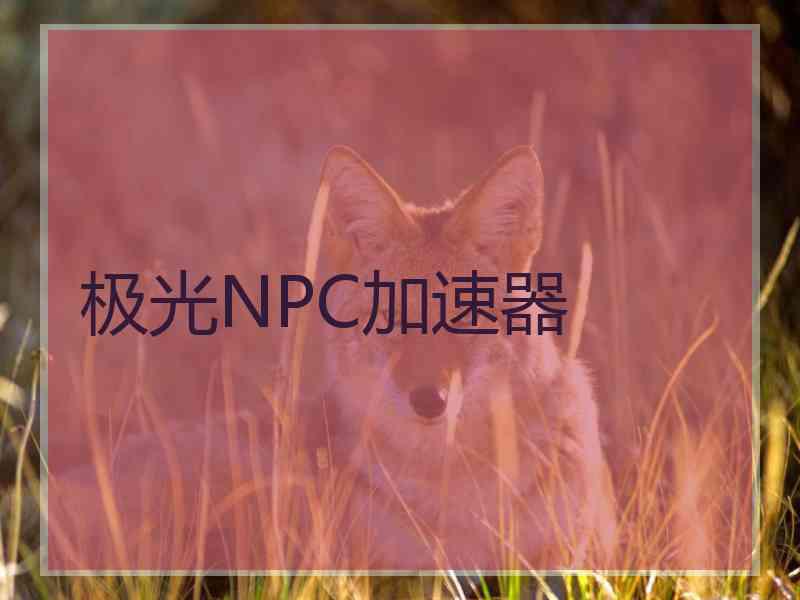 极光NPC加速器