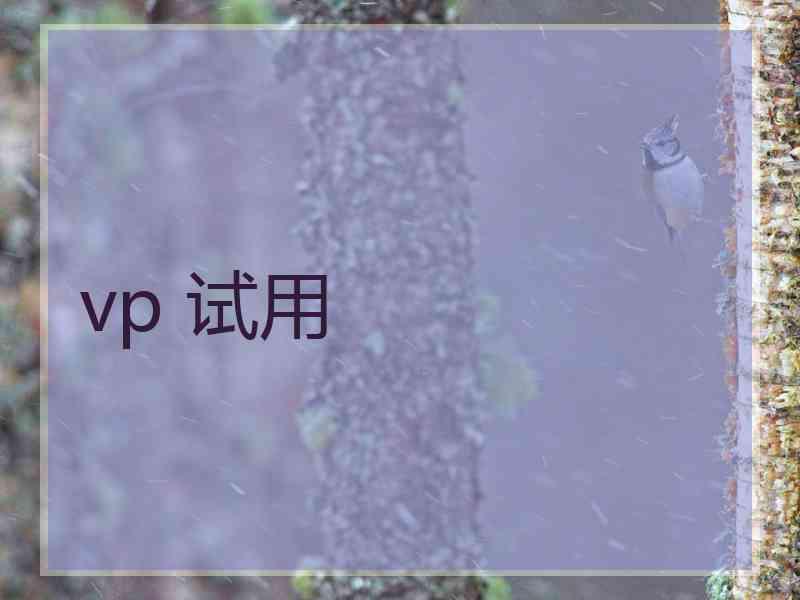 vp 试用