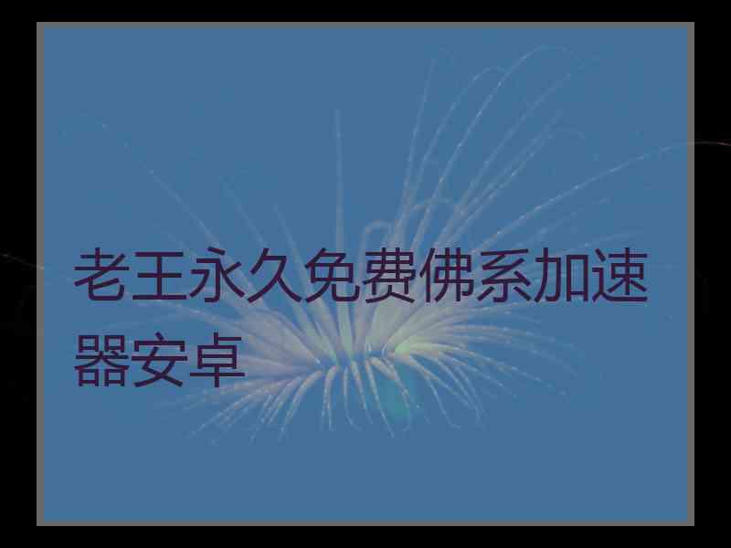 老王永久免费佛系加速器安卓
