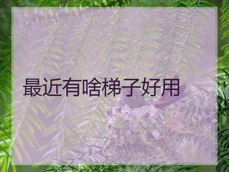 最近有啥梯子好用