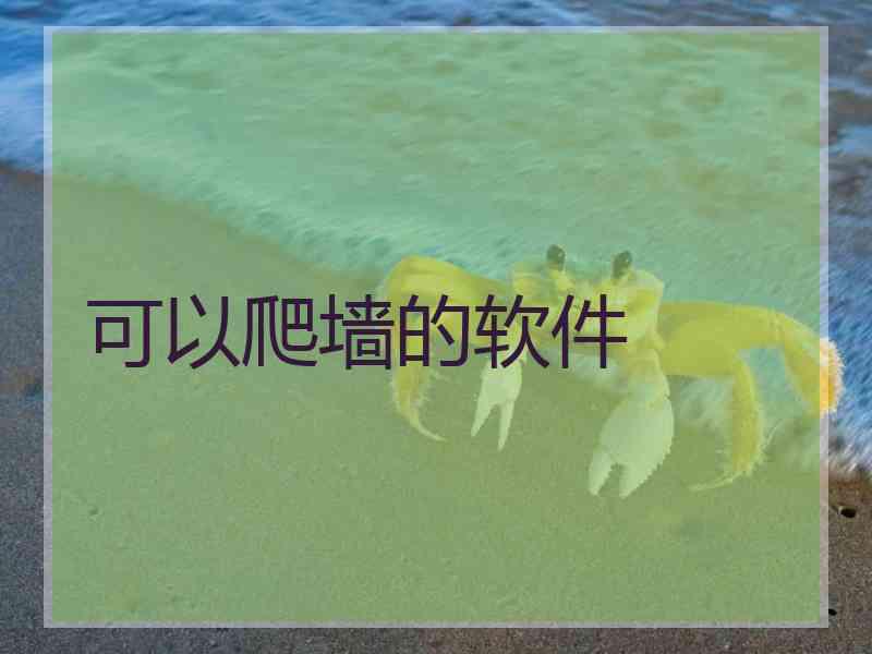 可以爬墙的软件