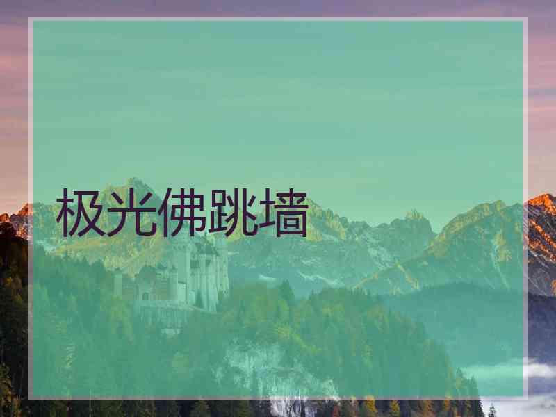 极光佛跳墙