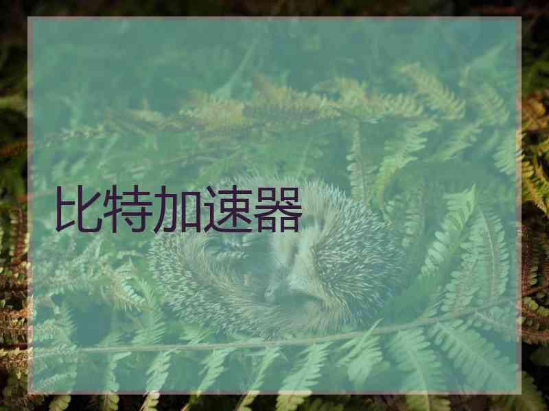 比特加速器