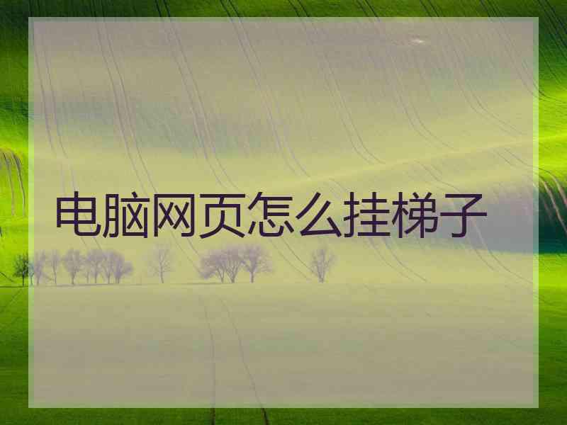 电脑网页怎么挂梯子