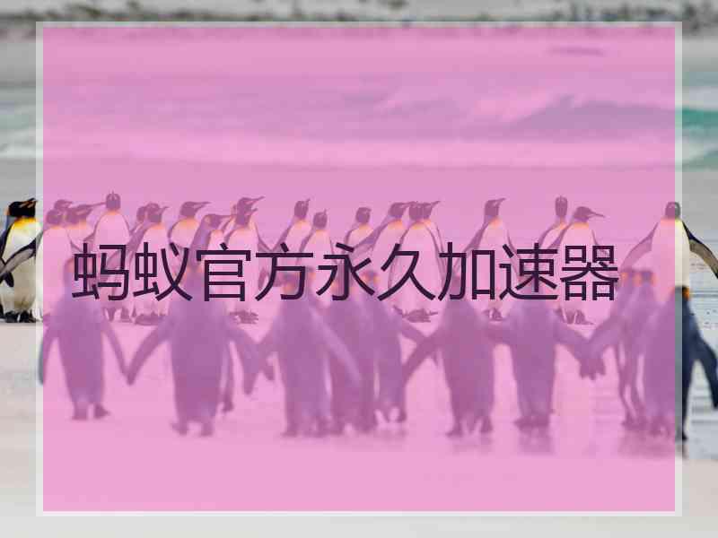 蚂蚁官方永久加速器