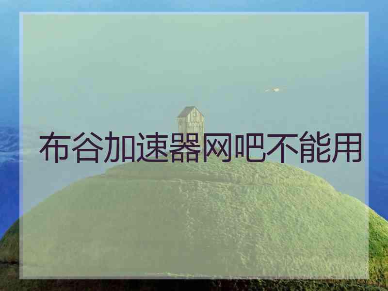 布谷加速器网吧不能用