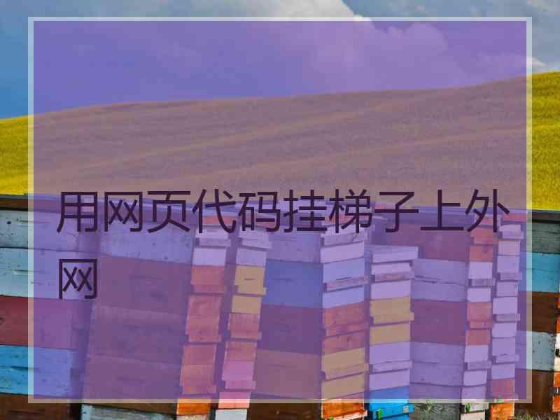 用网页代码挂梯子上外网