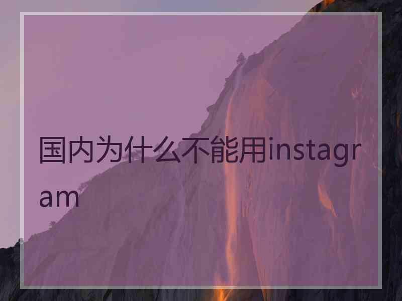 国内为什么不能用instagram