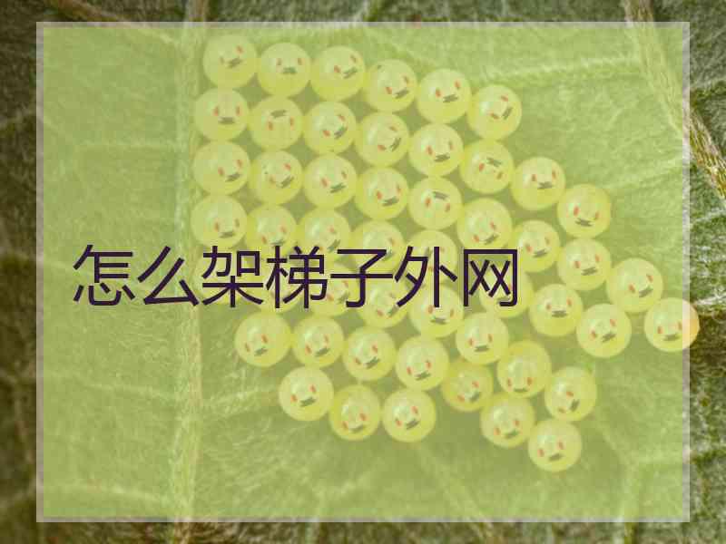 怎么架梯子外网
