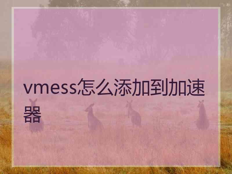 vmess怎么添加到加速器
