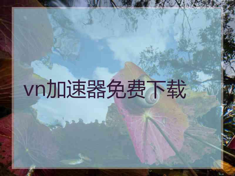 vn加速器免费下载