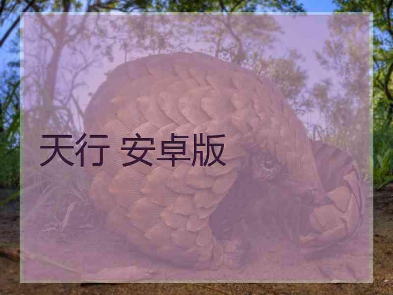 天行 安卓版