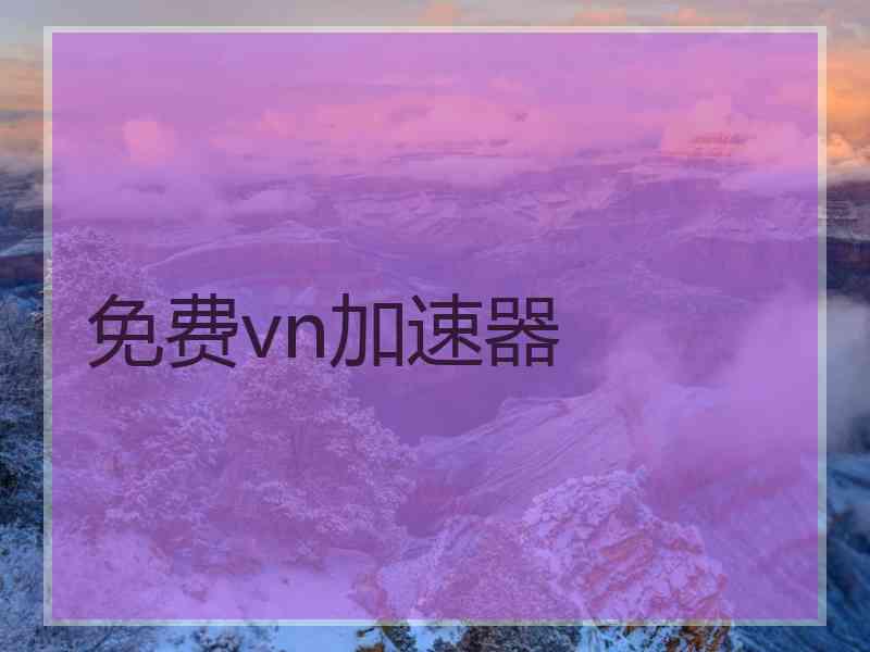 免费vn加速器