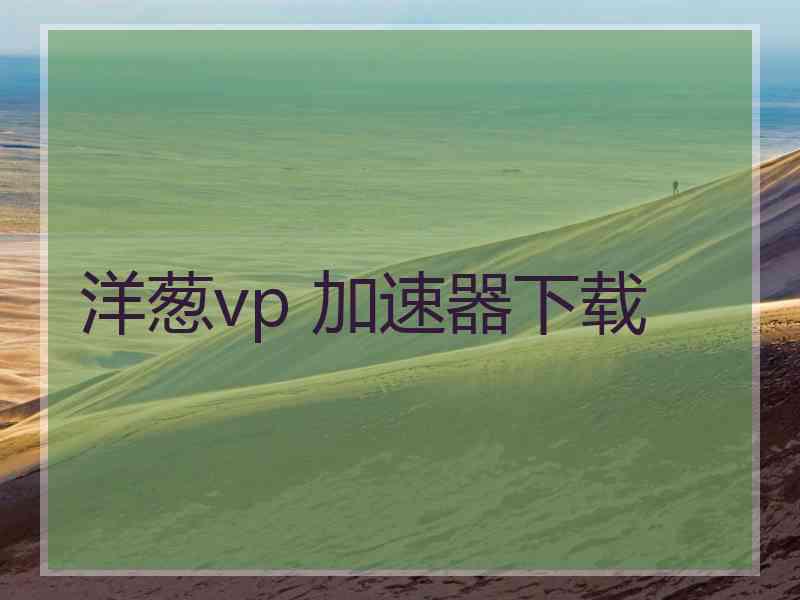 洋葱vp 加速器下载