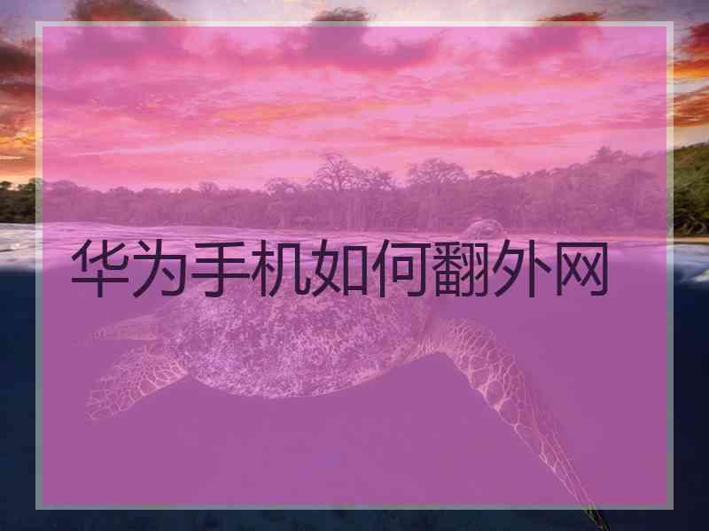 华为手机如何翻外网