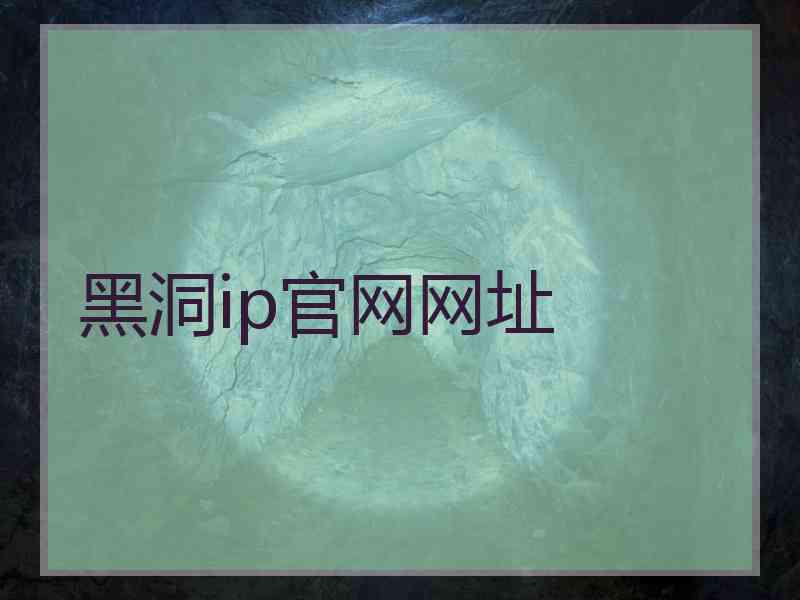 黑洞ip官网网址
