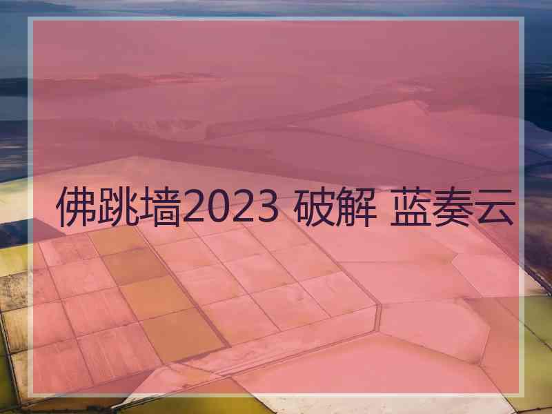 佛跳墙2023 破解 蓝奏云