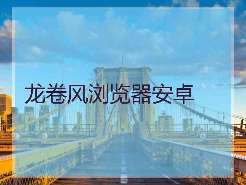 龙卷风浏览器安卓
