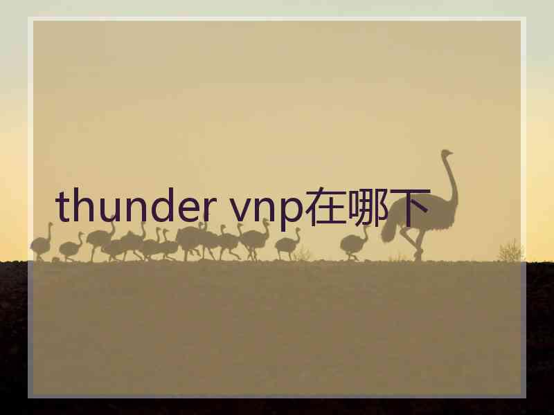 thunder vnp在哪下