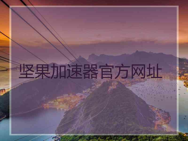 坚果加速器官方网址