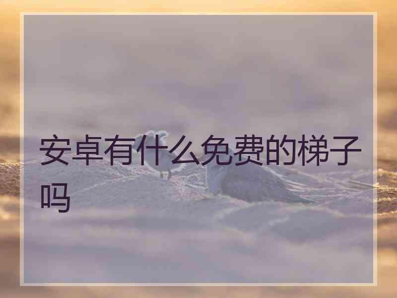 安卓有什么免费的梯子吗