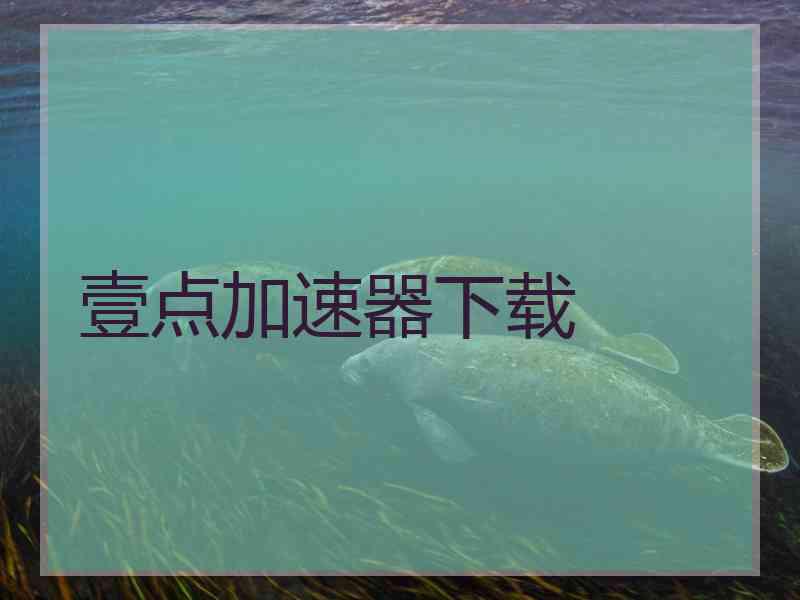 壹点加速器下载
